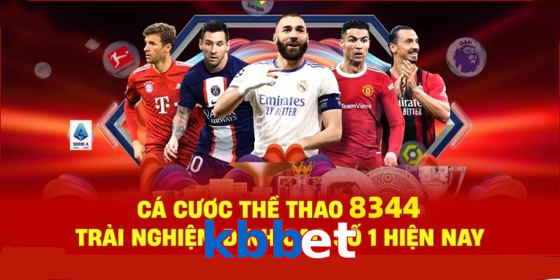 Đá Gà Philippines – Tinh Hoa Truyền Thống Và Thể Thao 